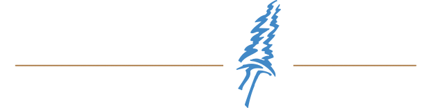 your-adventure-our-gear